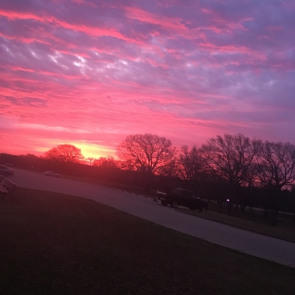 Meet your Posher, Lexi - Picture 1 of 1